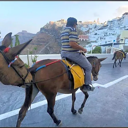 Hotel Delion View Fira (Santorini)